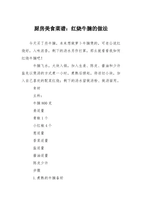 厨房美食菜谱：红烧牛腩的做法