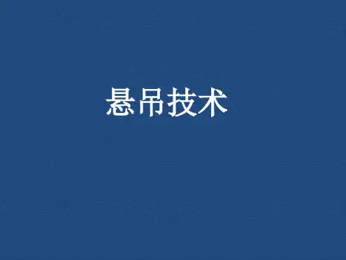 悬吊技术【文字可编辑】