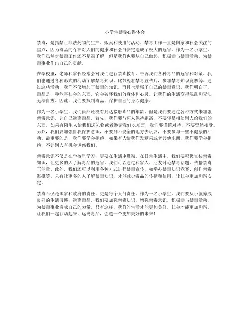 小学生禁毒心得体会