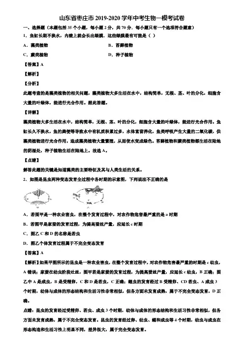 山东省枣庄市2019-2020学年中考生物一模考试卷含解析