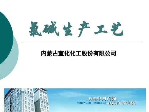 氯碱工艺(PPT)