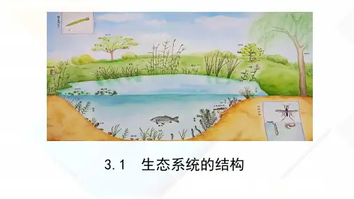 高中生物选择性必修二第3章第1节《生态系统的结构》课件