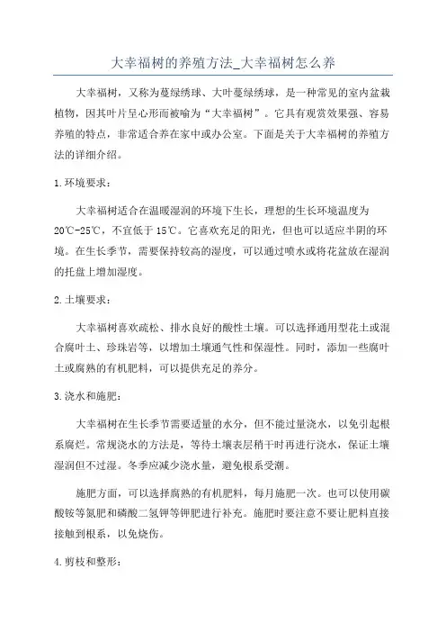 大幸福树的养殖方法_大幸福树怎么养