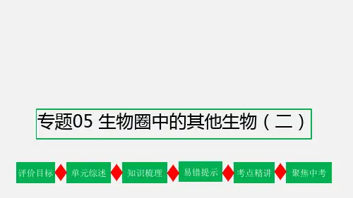 专题05 生物圈中的其他生物(二)【复习课件】-2023年中考生物一轮复习(通用版)