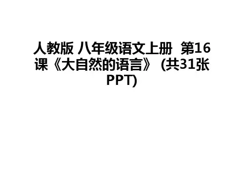 最新人教版 八年级语文上册  第16课《大自然的语言》 (共31张PPT)