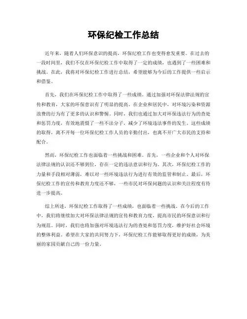 环保纪检工作总结