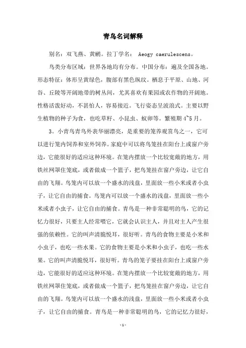 青鸟名词解释