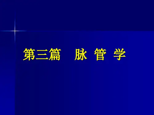 动物解剖学  第七章 心血管系统