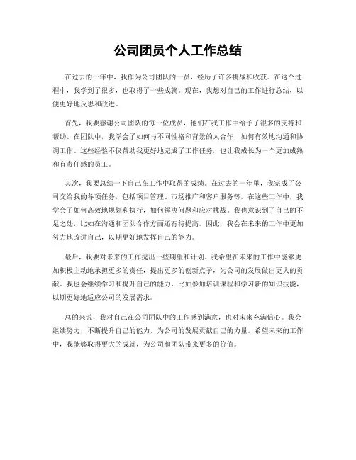 公司团员个人工作总结