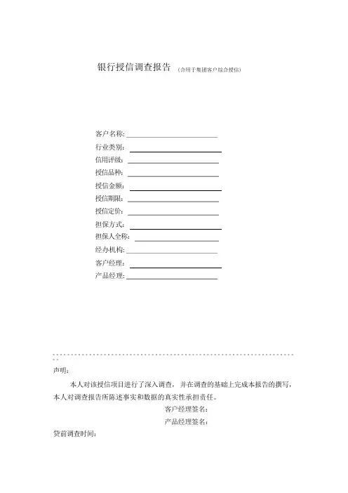 集团公司授信报告详解