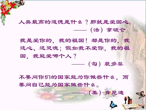 爱国情操的表现PPT课件人教版36张