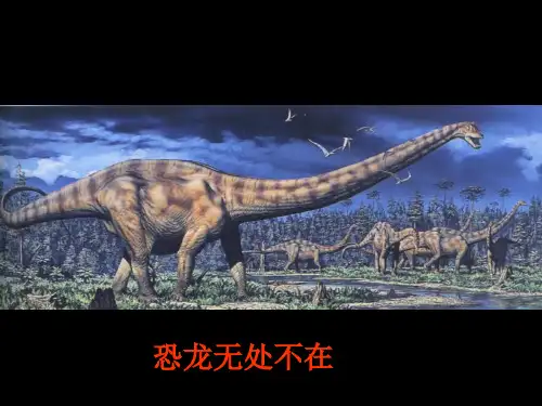 恐龙无处不在  优秀课件