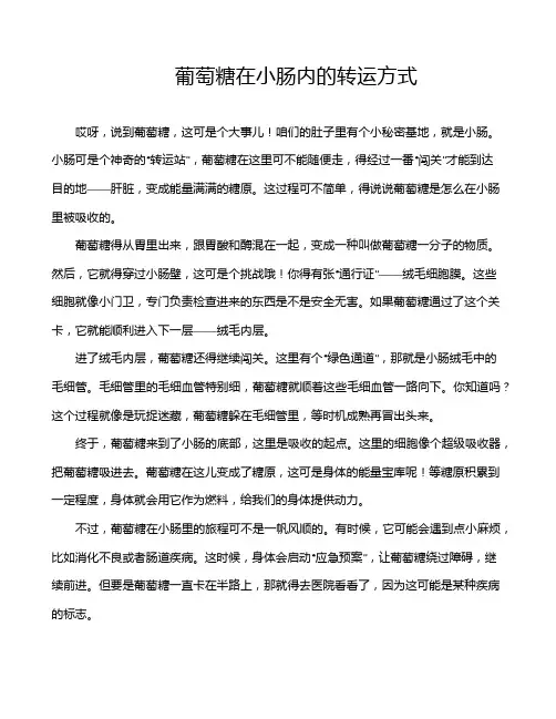 葡萄糖在小肠内的转运方式