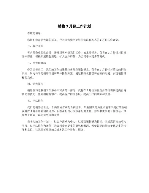 销售3月份工作计划