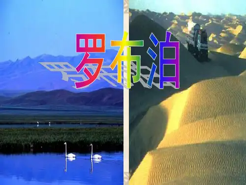 浙江省瑞安市新华中学八年级语文《罗布泊》课件
