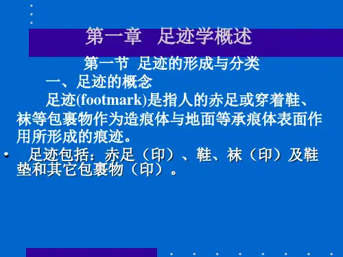 足迹研究