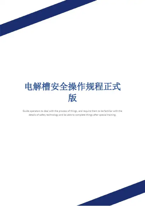电解槽安全操作规程正式版