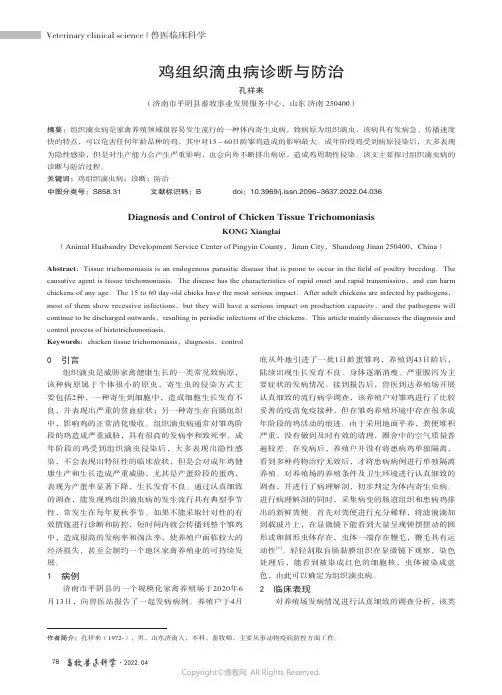鸡组织滴虫病诊断与防治