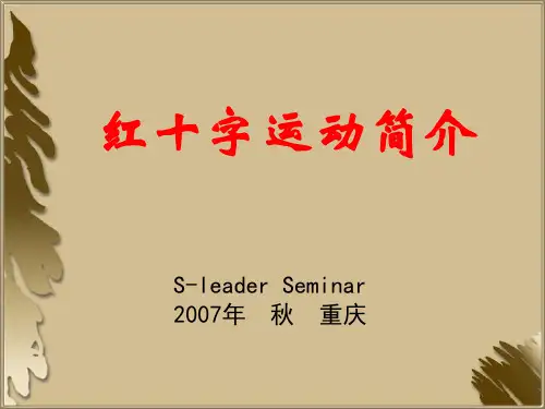 红十字会的起源.ppt