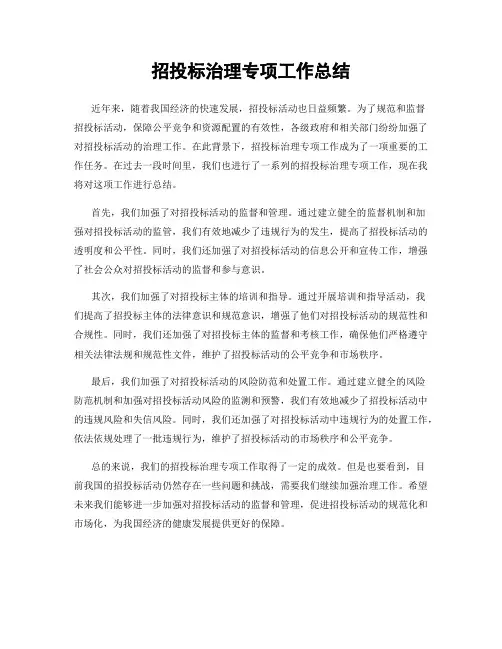 招投标治理专项工作总结