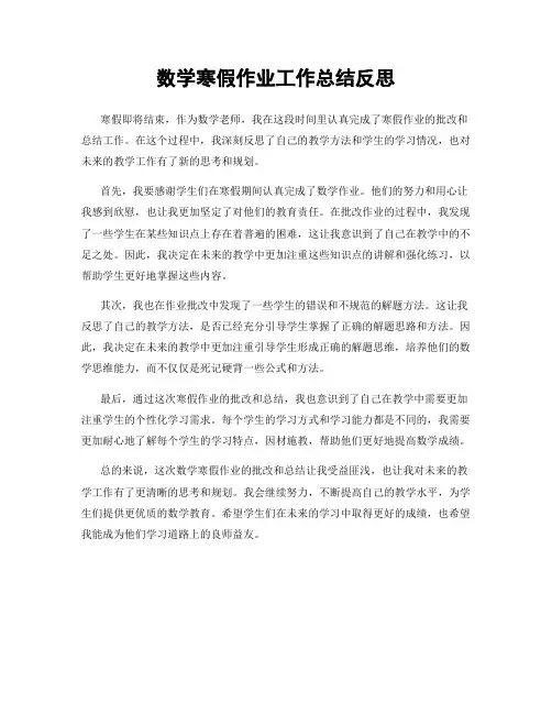 数学寒假作业工作总结反思