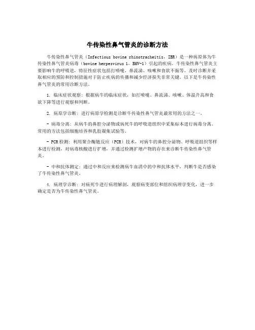 牛传染性鼻气管炎的诊断方法 2