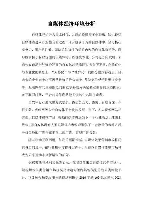 自媒体经济环境分析