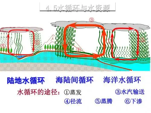 水循环与水资源ppt6