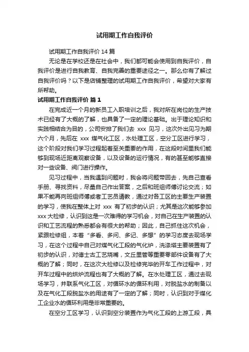 试用期工作自我评价