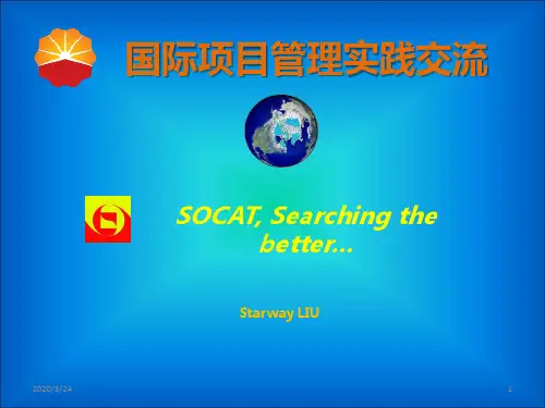 国际项目管理交流PPT课件