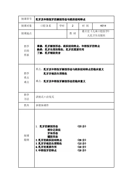 乳牙及年轻恒牙的解剖形态与组织结构特点