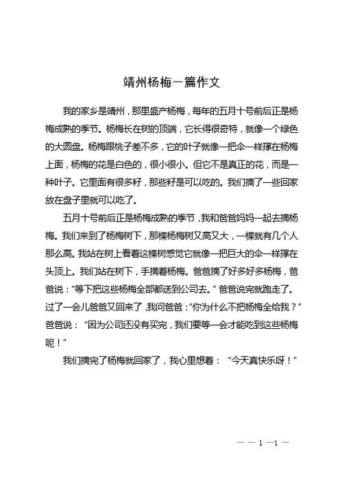 靖州杨梅一篇作文