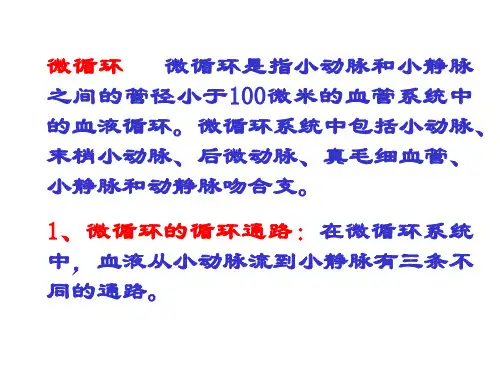 动物医学-休克