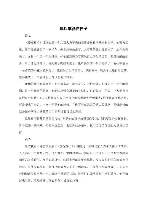 读后感200字骆驼祥子