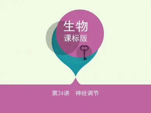 高考生物复习稳态与环境第8单元生命活动的调节第24讲神经调节课件
