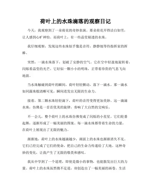 小学三年级作文荷叶上的水珠滴落的观察日记