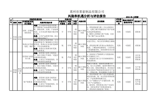 风险和机遇分析与评估报告(质量)