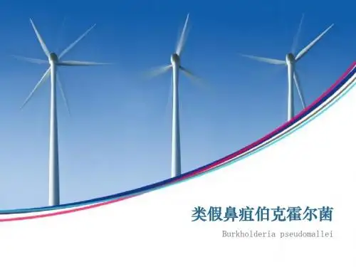 类假鼻疽伯克霍尔德菌