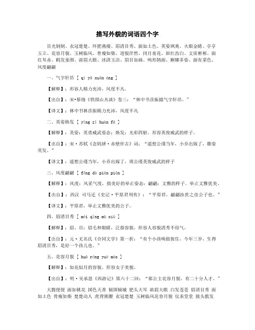 描写外貌的词语四个字