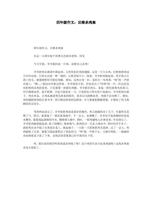 四年级作文：目睹杀鸡案