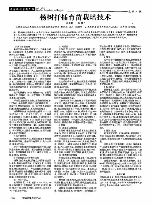 杨树扦插育苗栽培技术