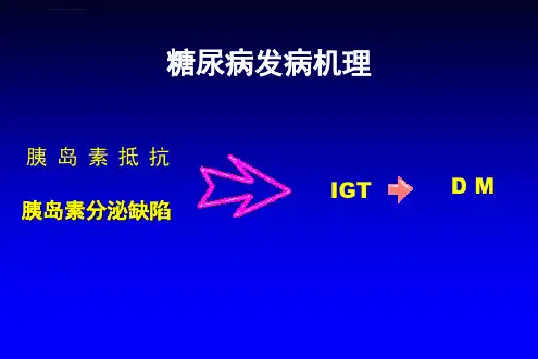 2型糖尿病的病理生理机制与理性化治疗策略ppt课件