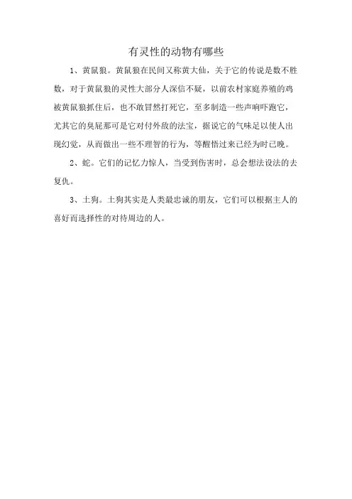 有灵性的动物有哪些