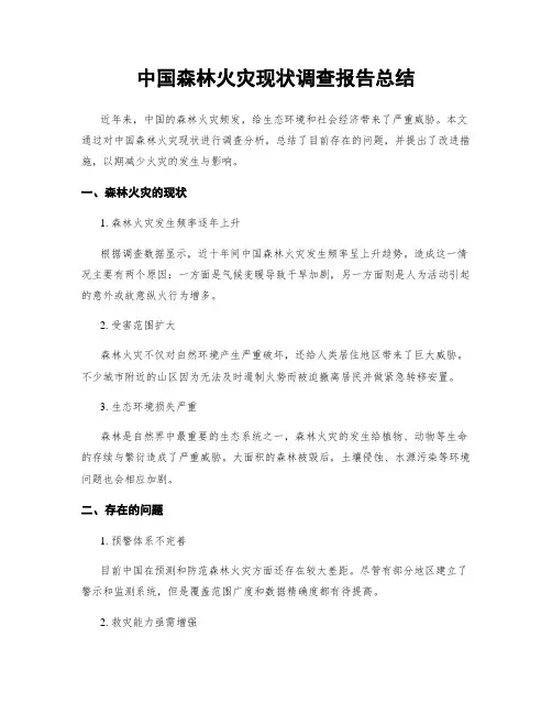 中国森林火灾现状调查报告总结