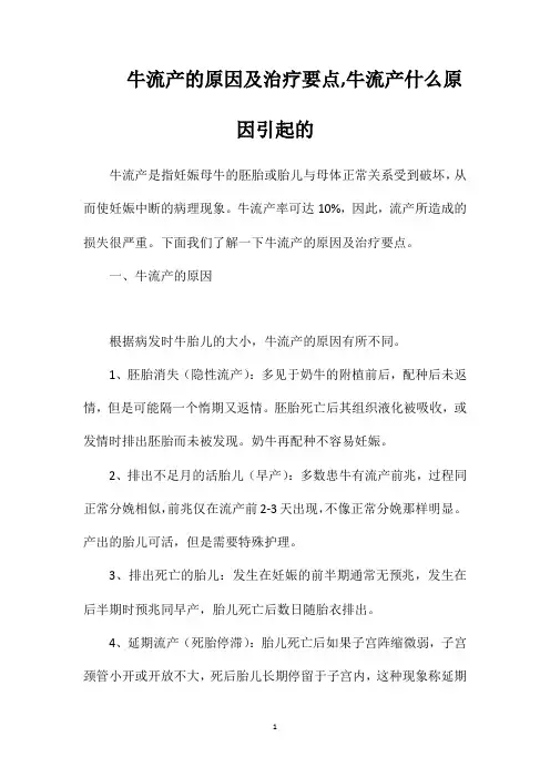 牛流产的原因及治疗要点牛流产什么原因引起的