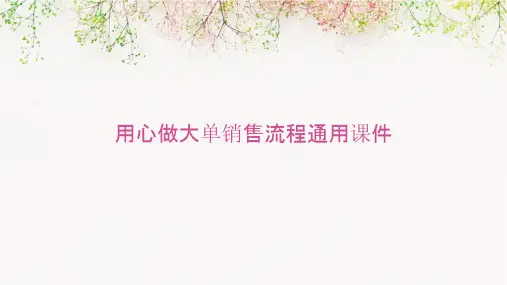 用心做大单销售流程通用课件