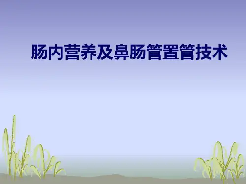 肠内营养及鼻肠管置管技术