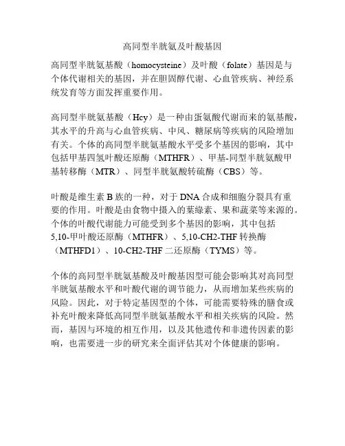 高同型半胱氨及叶酸基因