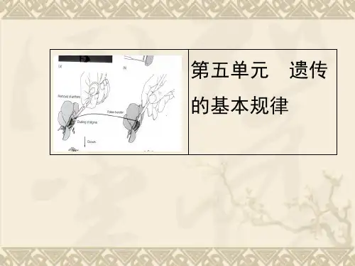 高三人教版生物一轮复习课件 第五单元 第一课时 孟德尔的豌豆杂交实验一(80张PPT)