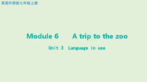 Module+6+Unit+3++Language+in+use 外研版英语七年级上册
